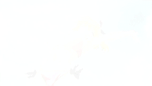 300_169gif 动态图 动图