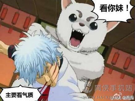 微信朋友圈"主要看气质"打脸表情图大全分享[多图]