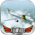 FlyWings2020安卓版