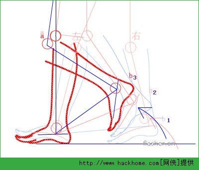 人物走路动作分解[多图] 第1页 - flash - 嗨客软件