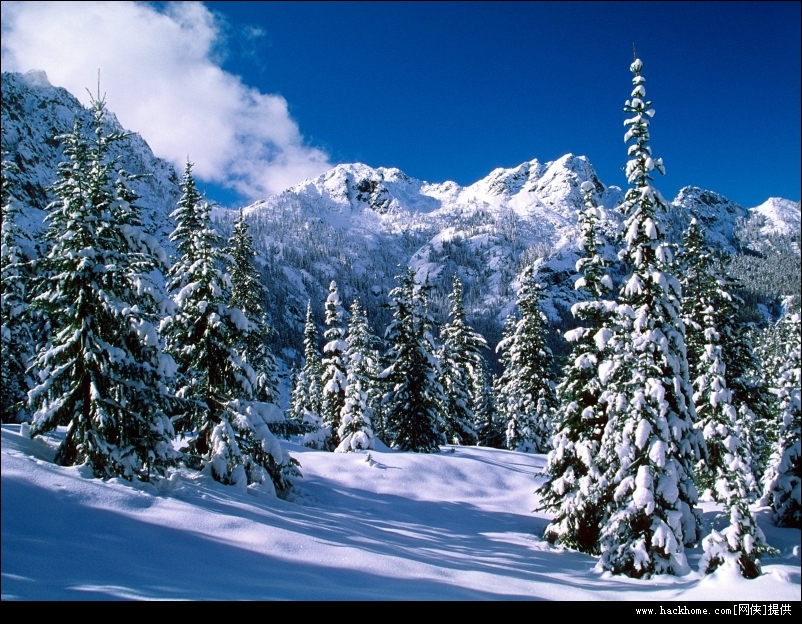 雪山雪景电脑桌面屏幕保护安装版