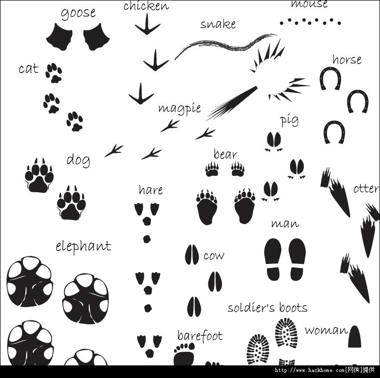 小动物脚印图片素材eps格式