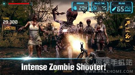 𽩌2bŰ׿棨GUN ZOMBIE 2 RELOADEDD4: