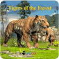 ֮ڹƽ棨Tigers of the Forest v1.0