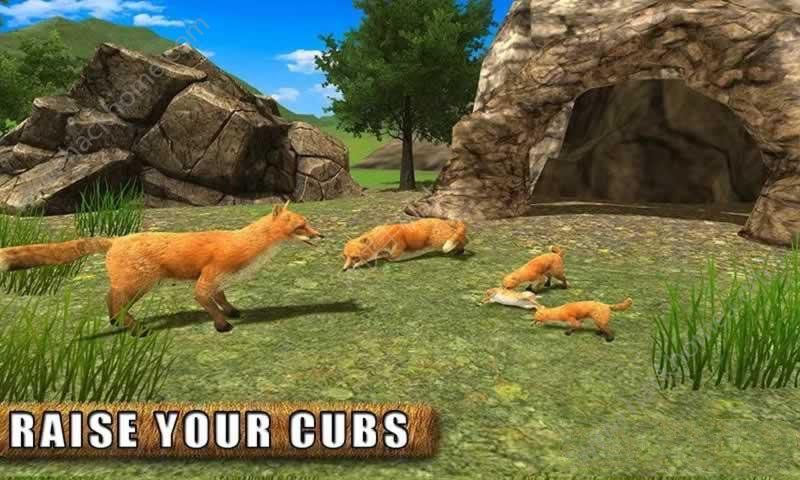 ҰģM[׿֙C棨Life of a Wild Angry FoxD1: