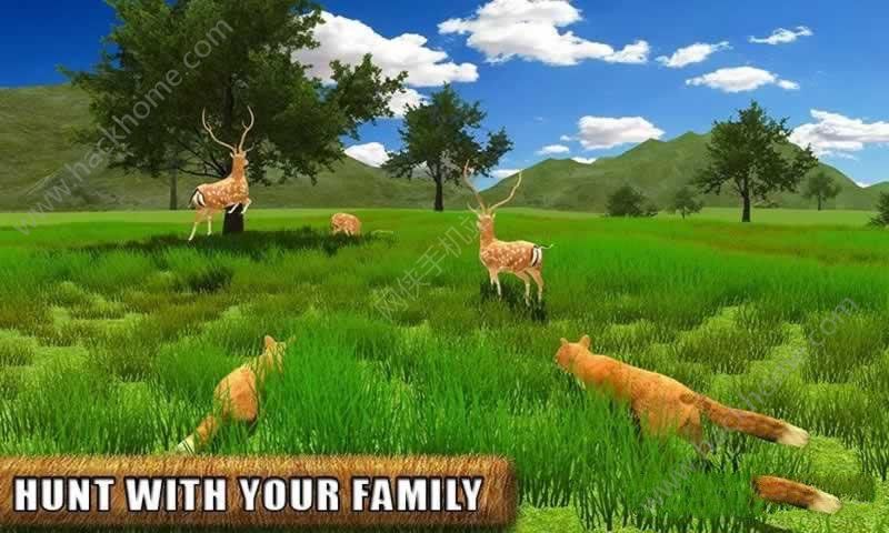 ҰģM[׿֙C棨Life of a Wild Angry FoxD3: