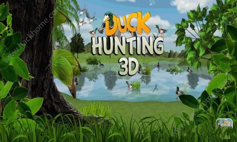 Ѽ޽ƽ棨Duck Hunting Sportͼ4: