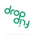 Drop Flip