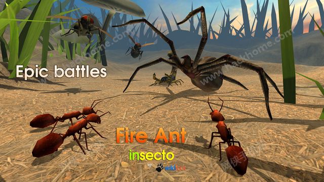 ģƽIOS浵棨Fire Ant Simulatorͼ4: