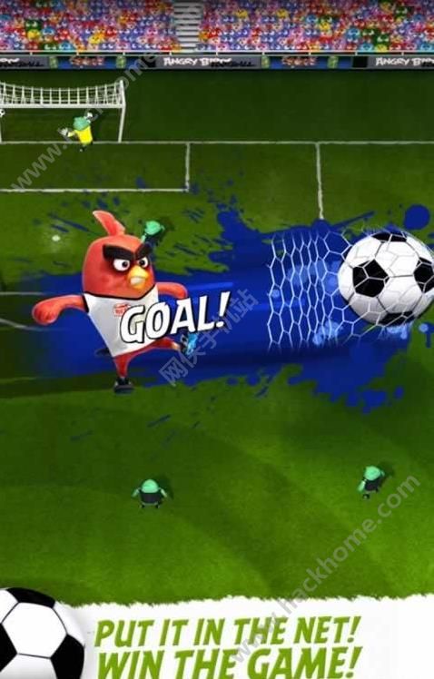 ŭСBِXİ׿(Angry Birds Goal)D2: