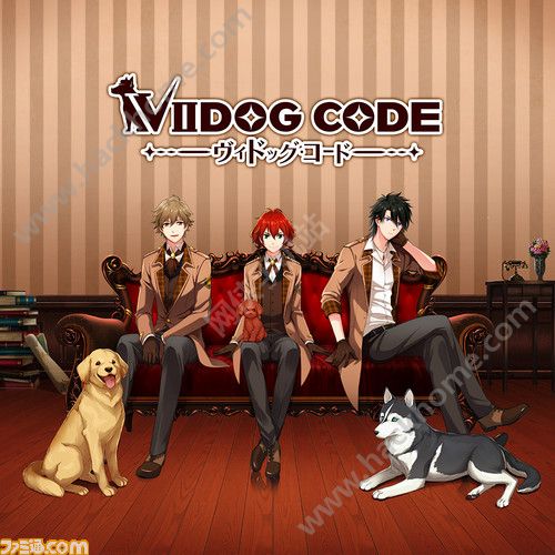 VIIDOGCODE֙CĹپWdD2: