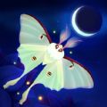 ֮ҹڹ޸ƽ(Flutter Starlight) v1.13