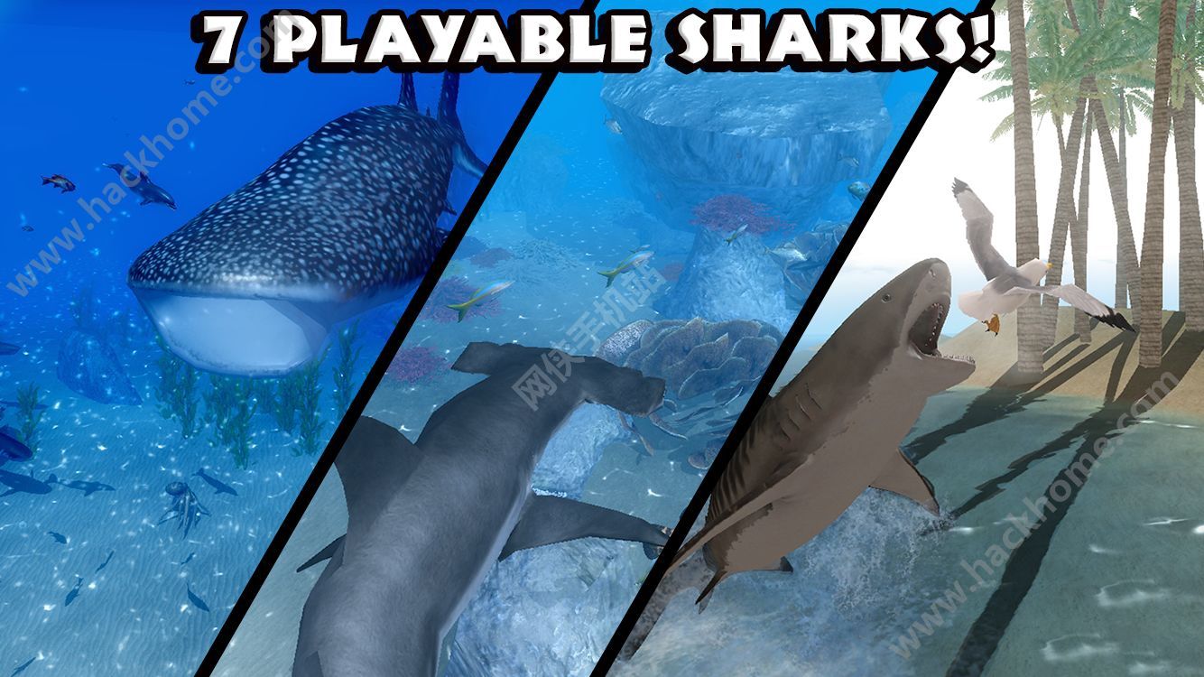 ģİ׿棨Ultimate Shark Simulator ͼ2: