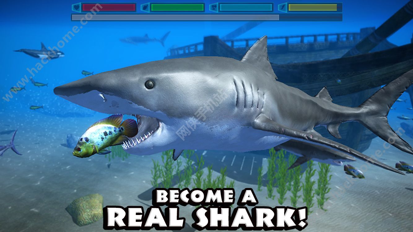 ģϷĺ׿棨Ultimate Shark Simulator ͼ4: