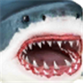 ģM~ُƽ棨ultimate shark simulato  v1.0.3