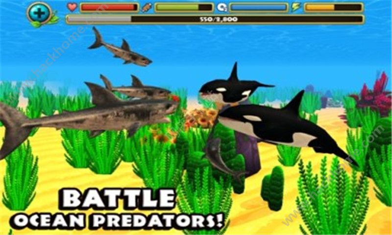 ģM~ُƽ棨ultimate shark simulato D2: