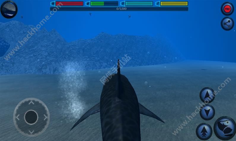 ģM~ُƽ棨ultimate shark simulato D4: