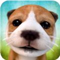 ģMhƽ棨Dog Simulator 2015 v1.3.1