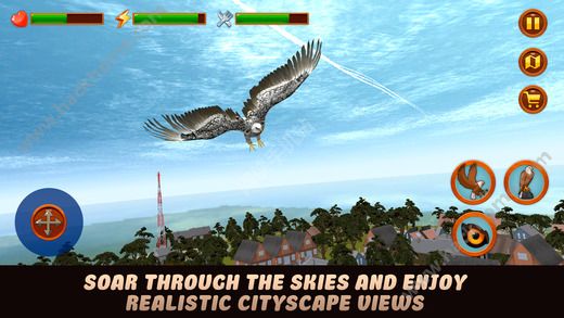 зӥģ3D޸ƽ棨City Eagle Simulator 3D Fullͼ2: