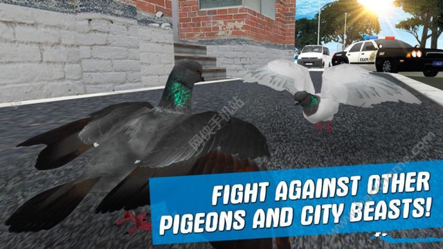 ֮ģ3D޽ڹƽ棨city bird pigeon simulator 3dͼ4: