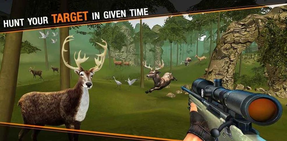 ¹ԾѻϷٷ°棨Deer Hunting Sniper Safariͼ3: