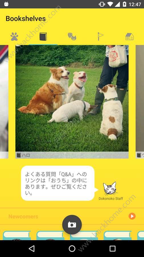 Dokonokoֻappͼ3: