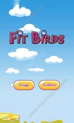 Fit birds[׿D2: