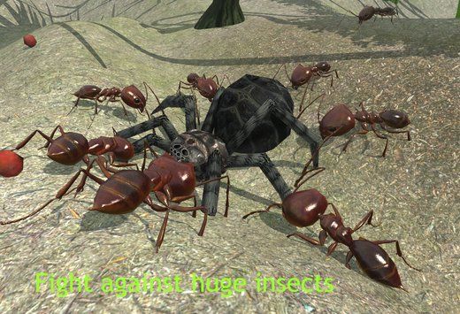 ģİ棨Ant Simulator 3Dͼ4: