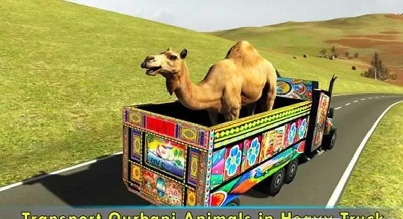 俨޽ڹƽ棨Pak Qurbani Animal Cargo Truckͼ2: