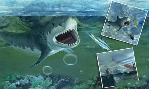 3D踴Ϸ׿أAngry Sea White Shark Revengeͼ4: