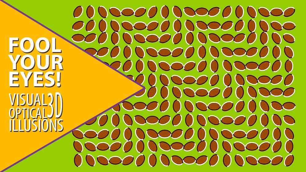 Ĺѧþİ׿棨Visual optical illusions 3Dͼ2: