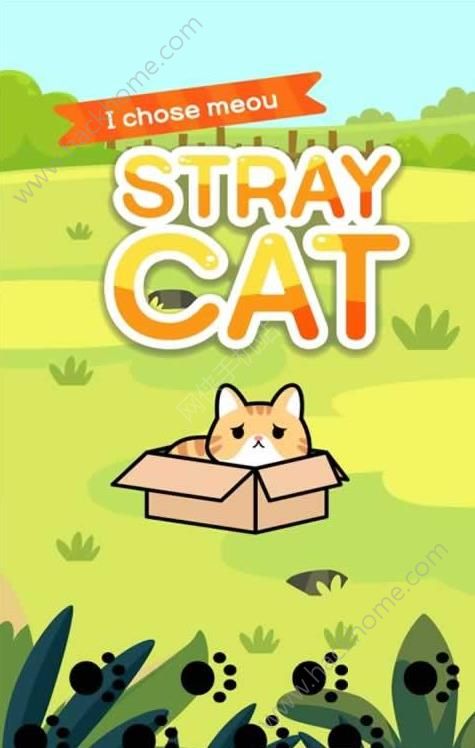 Z؈[°棨Taming a stray catD4: