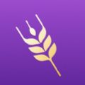 小麦份子钱app