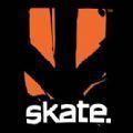 Skate EvaluationϷ