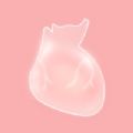 生命LIFE app
