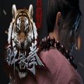 水浒传之醉铁拳VR破解版