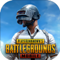 PUBG MOBILE Traverse